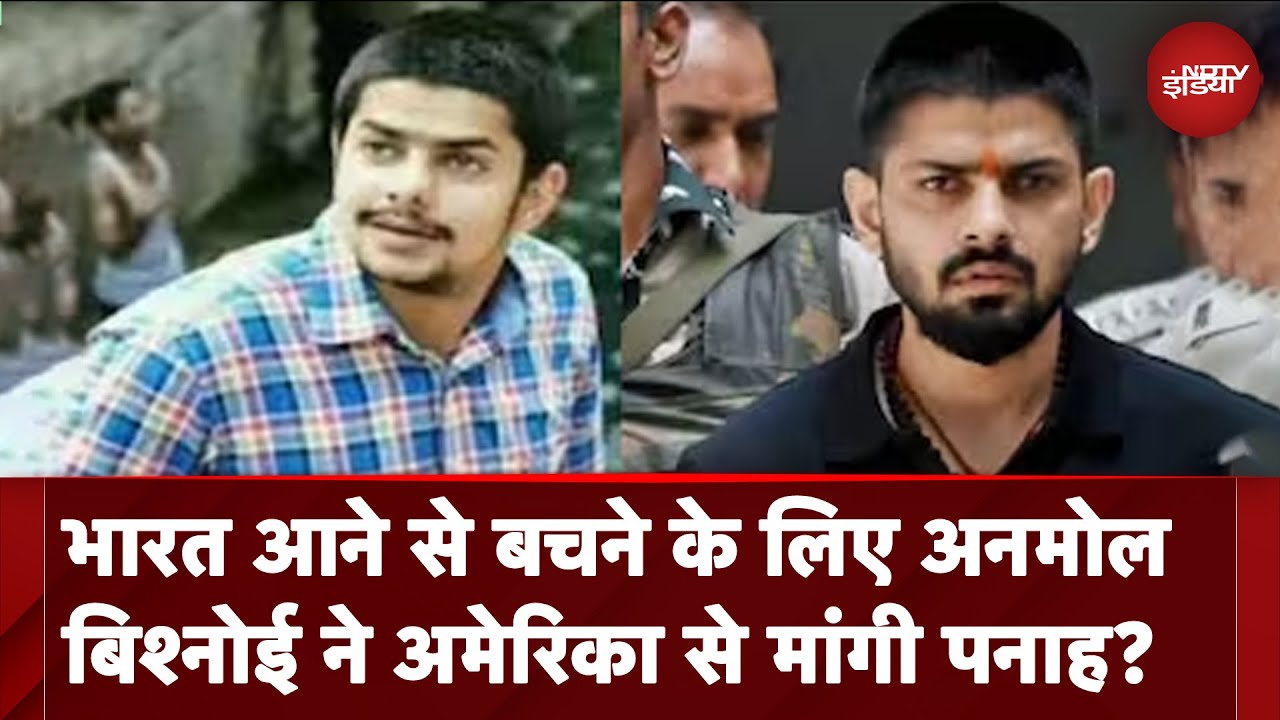 Anmol Bishnoi Arrest Updates: भारत आने से बचने के लिए अनमोल बिश्नोई ने अमेरिका से मांगी पनाह? Anmol Bishnoi Arrest Updates: भारत आने से बचने के लिए अनमोल बिश्नोई ने अमेरिका से मांगी पनाह?
