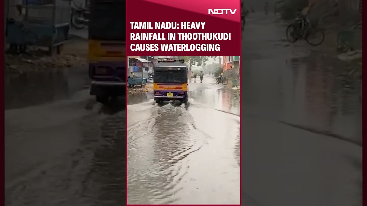 Tamil Nadu: Heavy Rainfall In Thoothukudi Causes Waterlogging