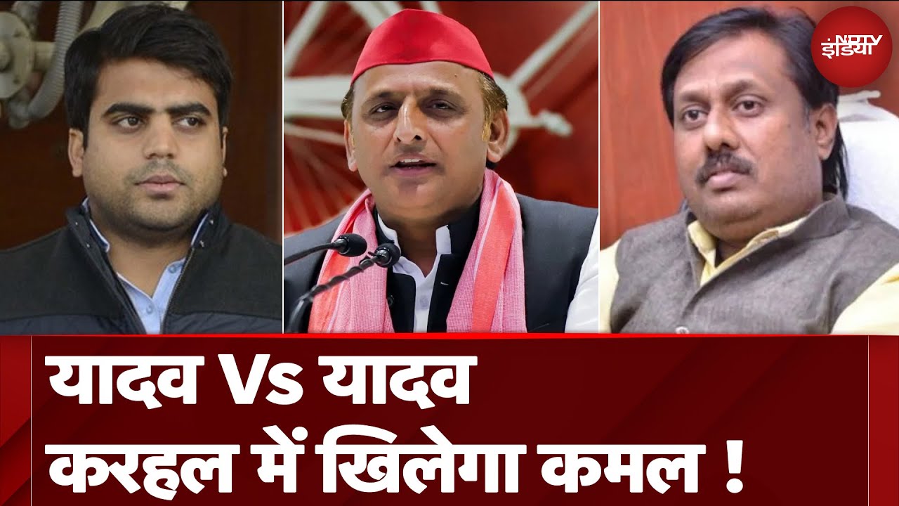 UP By Elections: Karhal में यादव बनाव यादव की जंग, BJP या Samajwadi Party में से जीत किसकी ? UP News