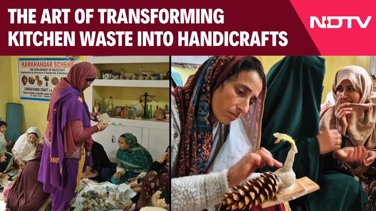 Jammu Kashmir News | Meet Aneeza Who Mastered The Art Of Transforming Kitchen Waste Into Handicrafts