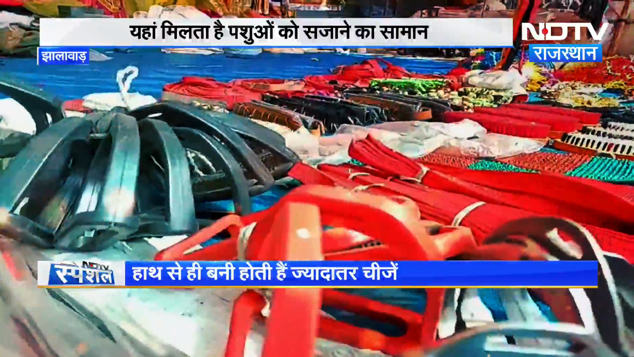 Chandrabhaga Fair 2024 : Rajasthan में पशुओं का ब्यूटी पार्लर, सुविधाएं जानके आप भी रह जाएंगे हैरान