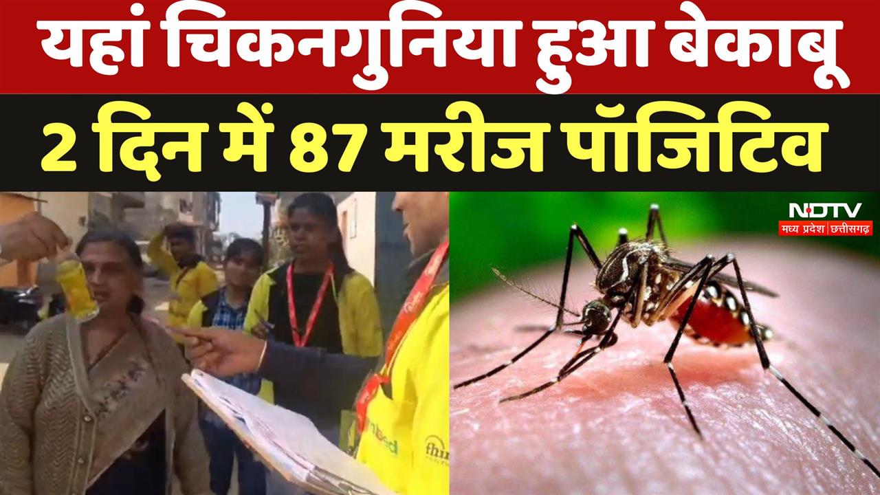 Gwalior में Chikungunya हुआ बेकाबू 2 दिन में 87 मरीज पॉजिटिव