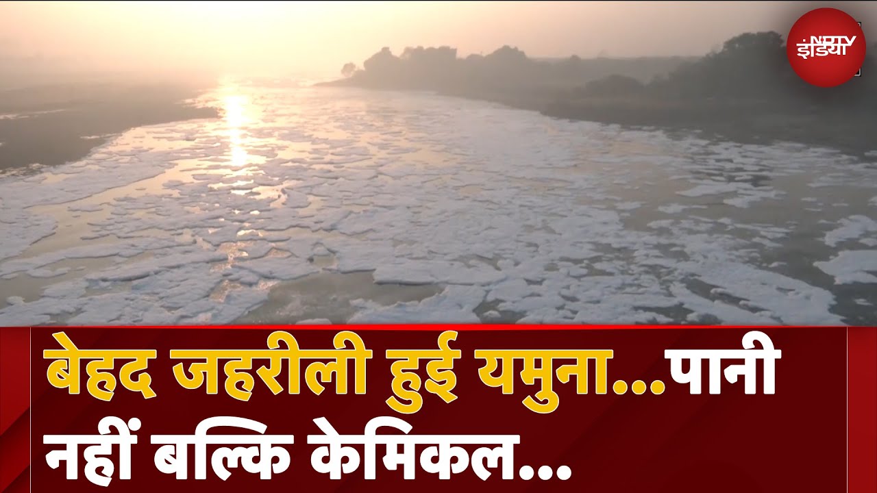 Yamuna के हालात बेहद खतरनाक, नदी में तैरता हुआ दिखाई दे रहा है जहरीला झाग Yamuna के हालात बेहद खतरनाक, नदी में तैरता हुआ दिखाई दे रहा है जहरीला झाग