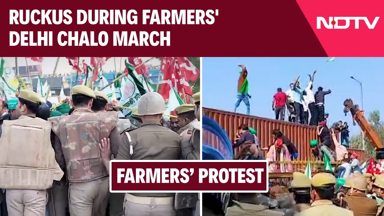 Farmers Protest: Farmers Gather At Delhi-Noida Border For 'Delhi Chalo' March, Cops Alert