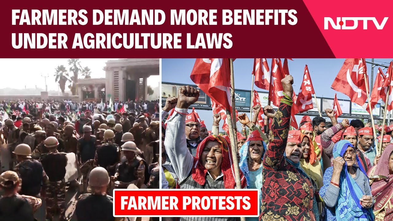 Farmers Protest Delhi Border | Farmers Protest: Farmers Demand More Benefits Under Agriculture Laws