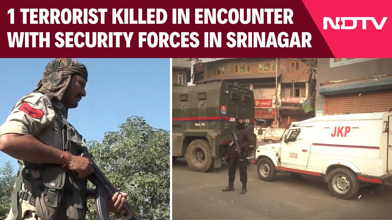 1 Terrorist Killed In Encounter With Security Forces In Srinagar’s Dachigam Forest