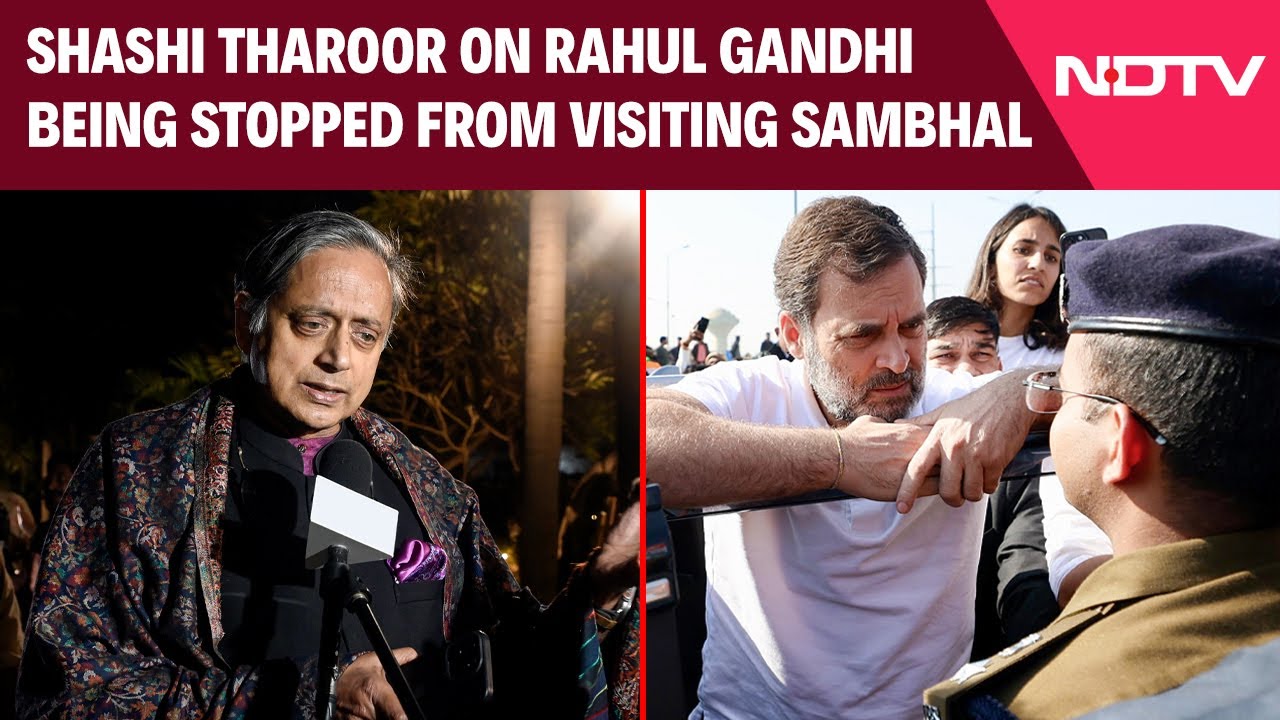 After Rahul Gandhi Stopped From Visiting Sambhal, Shashi Tharoor Says This