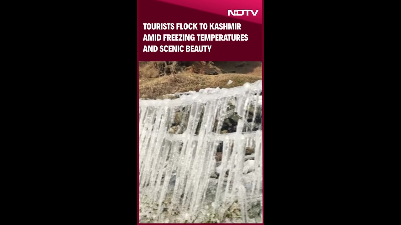 Tourists Flock To Kashmir Amid Freezing Temperatures And Scenic Beauty Tourists Flock To Kashmir Amid Freezing Temperatures And Scenic Beauty
