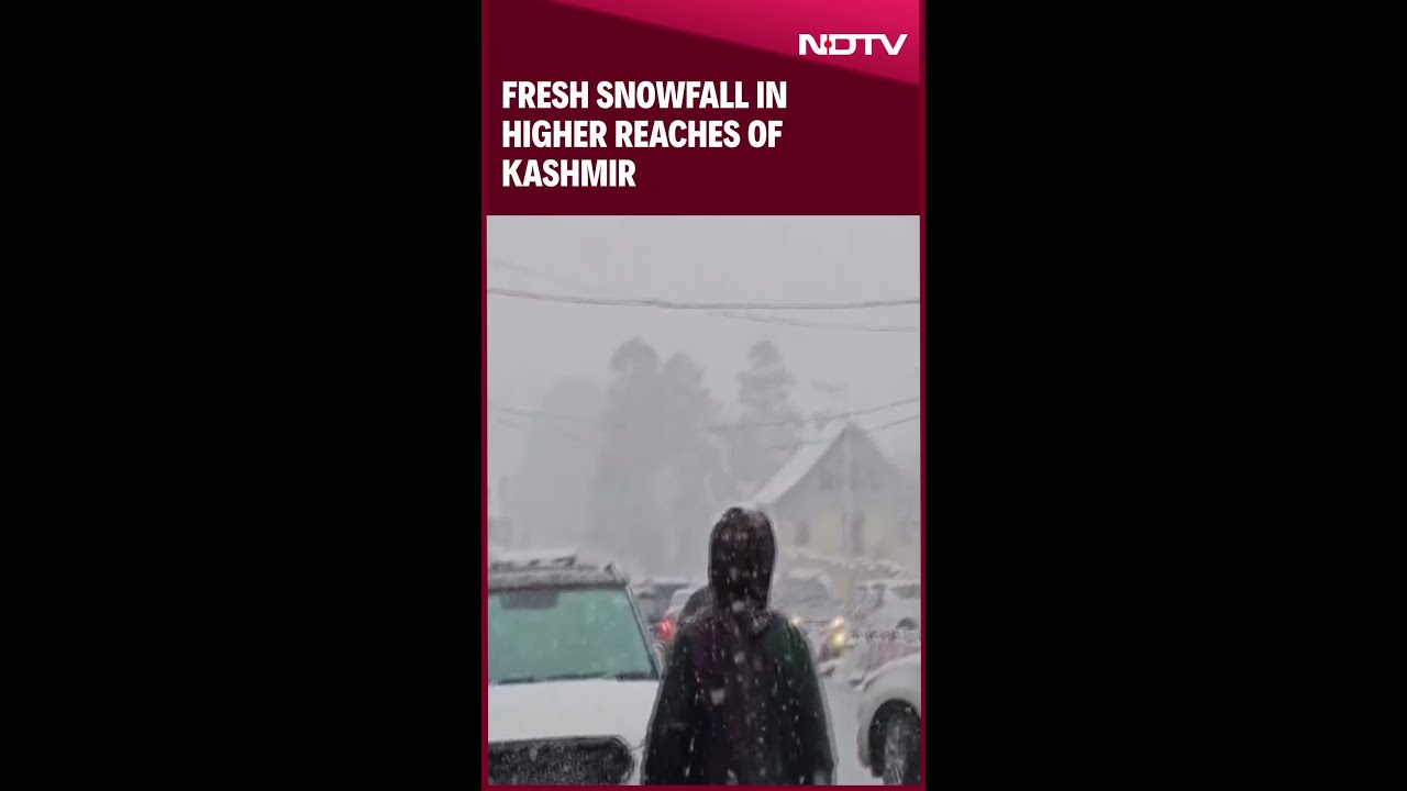 Jammu Kashmir Snowfall | Fresh Snowfall In Higher Reaches Of Kashmir
