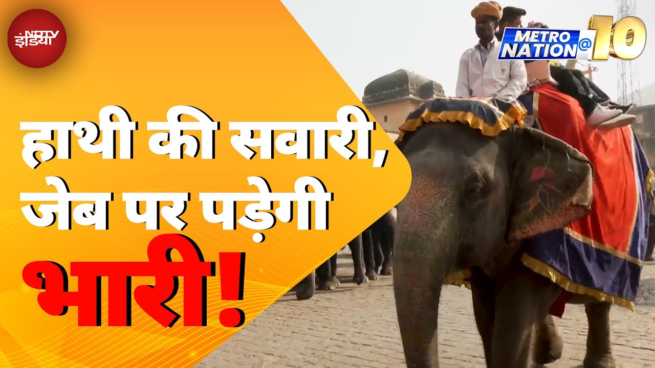 Rajasthan News: Jaipur के Amer में हाथियों की सवारी महंगी हो सकती है | Metro Nation @10
