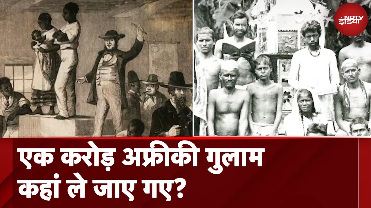 NDTV Xplainer: अपनी ज़मीन से बिछड़े लाखों गिरमिटिया मज़दूरों का दर्द गीतों में ढल गया NDTV Xplainer: अपनी ज़मीन से बिछड़े लाखों गिरमिटिया मज़दूरों का दर्द गीतों में ढल गया