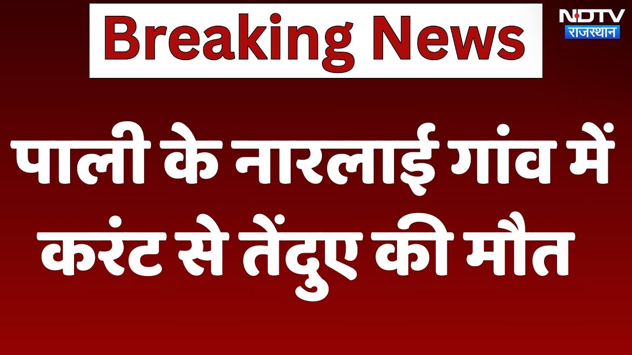 Pali News : पाली के Narlai Village में करंट से तेंदुए की मौत