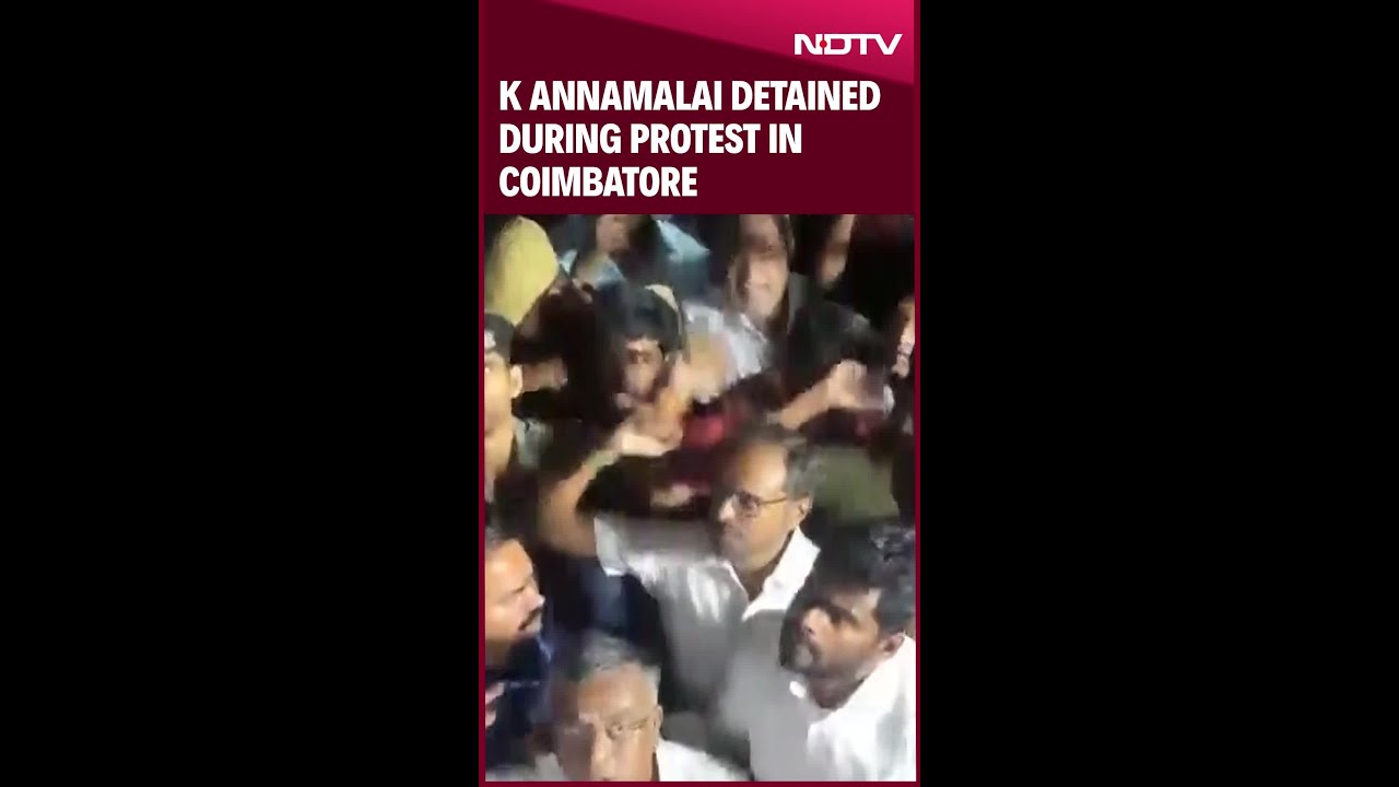 Tamil Nadu BJP President K Annamalai Detained While Protesting Against State Government