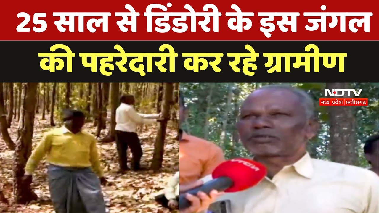 Dindori Jungle: 25 साल से इस 40 एकड़ के जंगल की पहरेदारी कर रहे ग्रामीण Dindori Jungle: 25 साल से इस 40 एकड़ के जंगल की पहरेदारी कर रहे ग्रामीण