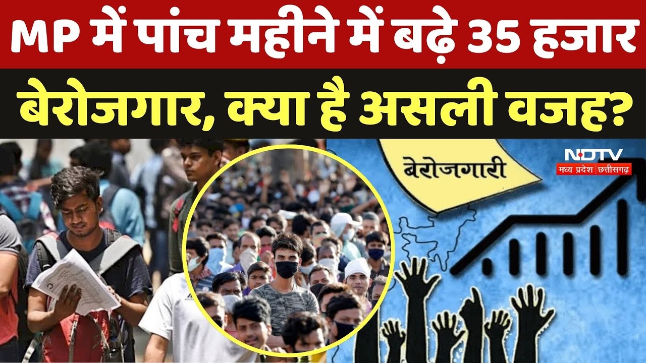 MP Unemployment: MP में पांच महीने में बढ़े 35 हजारबेरोजगार, क्या है असली वजह? | Youth Employment