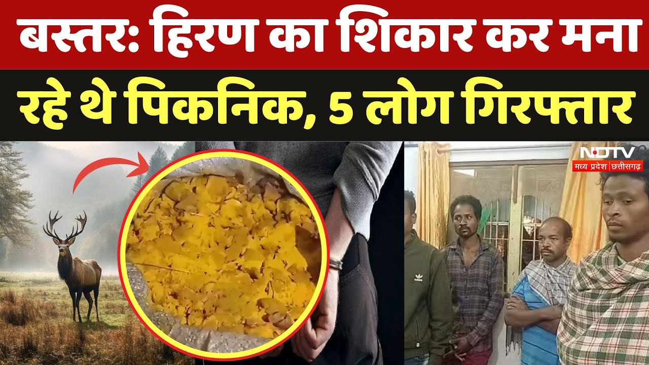 Bastar Deer Hunting: हिरण का शिकार कर मना रहे थे Picnic, 5 लोग गिरफ्तार