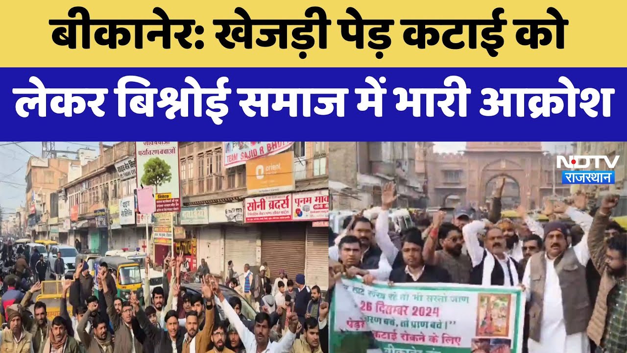 Bikaner Bandh: Khejri पेड़ कटाई को लेकर Bishnoi Community में भारी आक्रोश