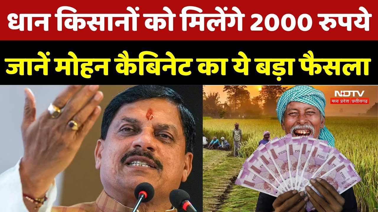 MP Cabinet: धान उत्पादक किसानों को मिलेंगे 2000 रुपये, कैबिनेट बैठक में Mohan सरकार का बड़ा तोहफा