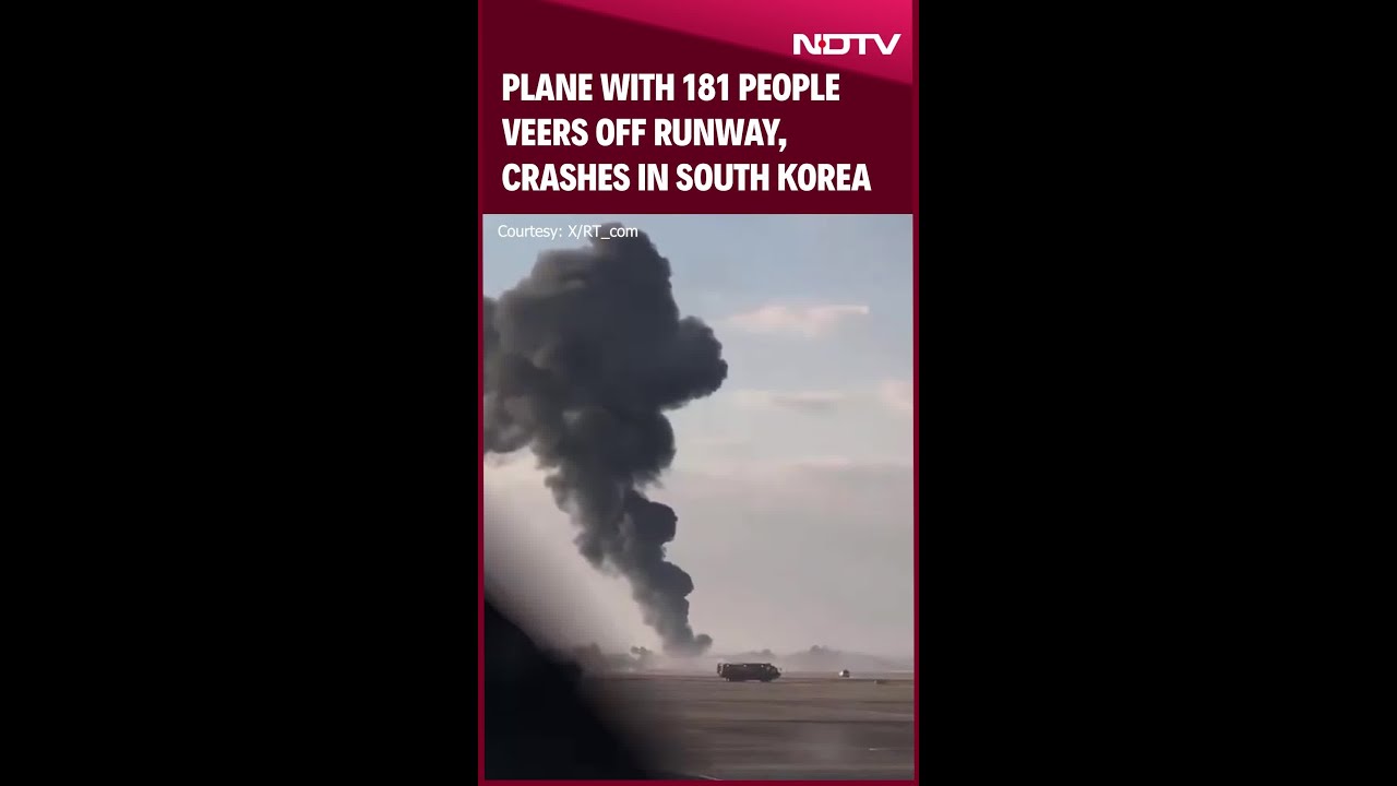 Plane With 181 People Veers Off Runway, Crashes In South Korea
