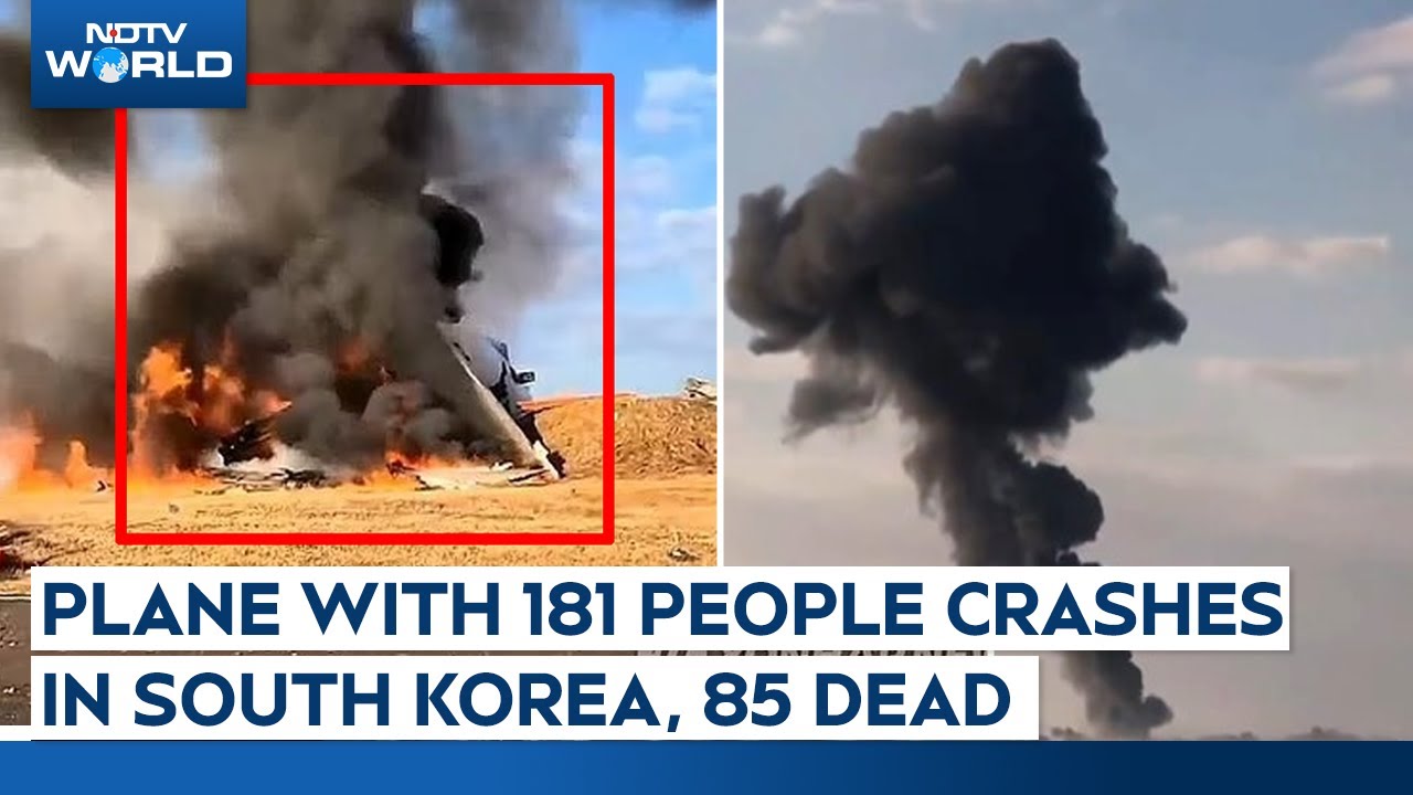 85 Killed After Plane With 181 On Board Crashes On South Korea Runway
