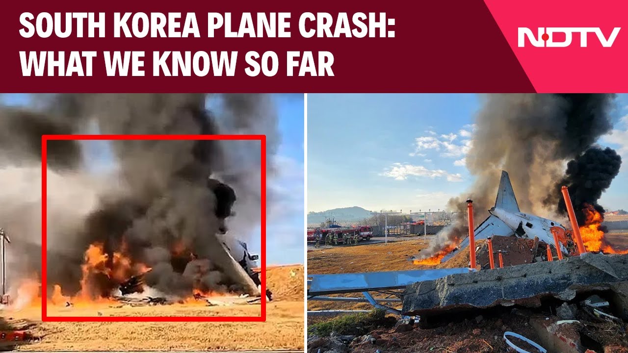 179 People Feared Dead In South Korea Crash: What We Know So Far