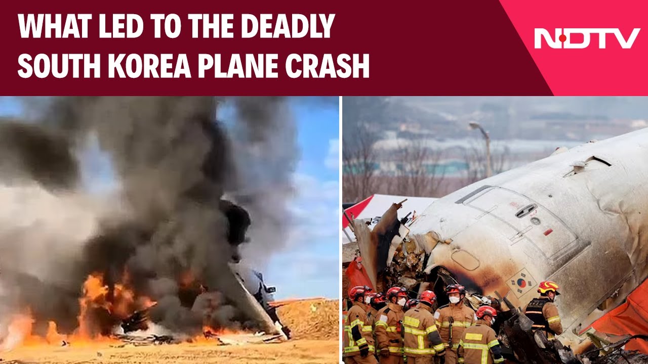 Bird Hit, Gear Glitch, Belly Landing: Chain Of Events In South Korea Crash