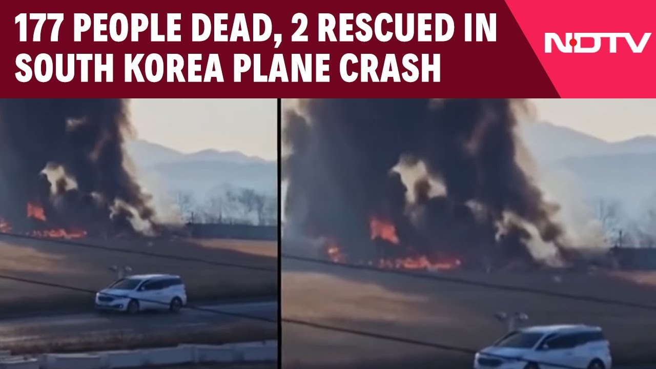 Plane With 181 People Veers Off Runway, Crashes In South Korea, 28 Dead