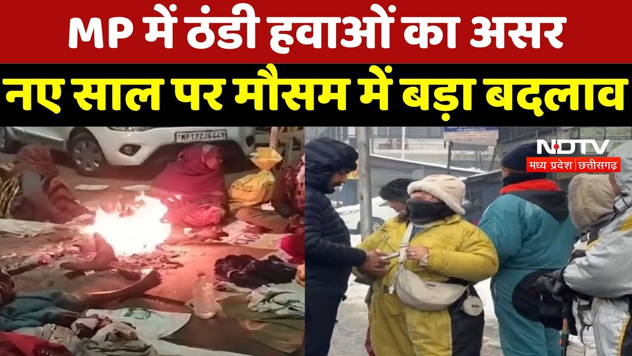 MP Weather Report : Madhya Pradesh में ठंडी हवाओं का असर नए साल पर मौसम में बड़ा बदलाव MP Weather Report : Madhya Pradesh में ठंडी हवाओं का असर नए साल पर मौसम में बड़ा बदलाव