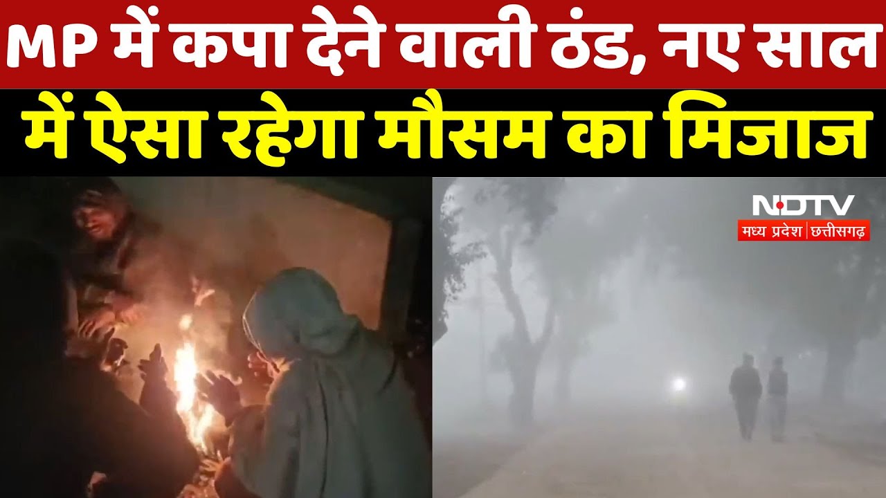 MP Weather Report : MP में कपा देने वाली ठंड, नए साल  में ऐसा रहेगा मौसम का मिजाज MP Weather Report : MP में कपा देने वाली ठंड, नए साल  में ऐसा रहेगा मौसम का मिजाज