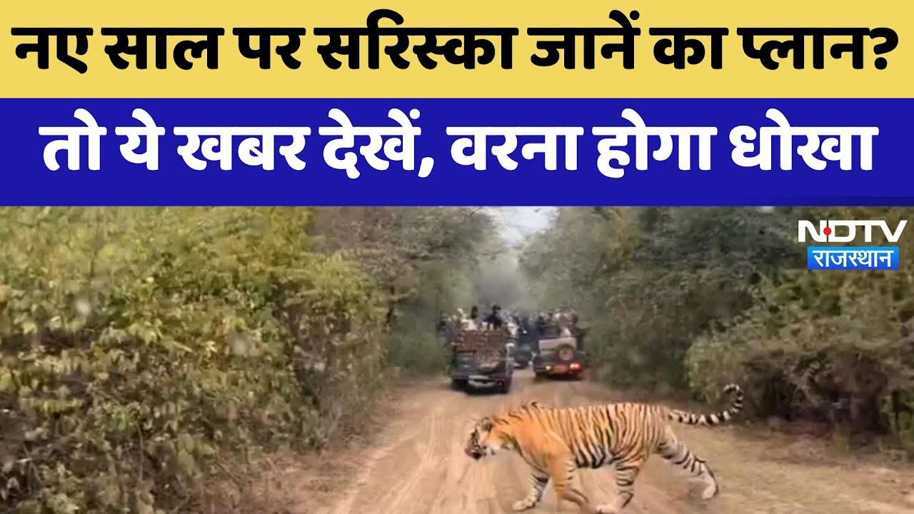 Sariska News: नए साल पर सरिस्का जानें का प्लान? तो ये खबर देखें, वरना होगा धोखा