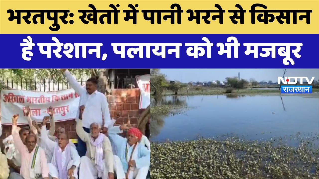 Bharatpur: खेतों में पानी भरने से किसान है परेशान, पलायन को भी हुए मजबूर