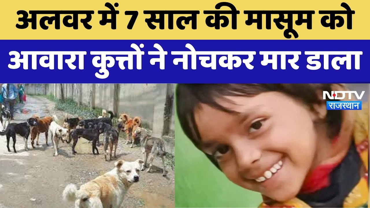 Stray Dogs Attack On A Girl : अलवर में 7 साल की मासूम को आवारा कुत्तों ने नोचकर मार डाला Stray Dogs Attack On A Girl : अलवर में 7 साल की मासूम को आवारा कुत्तों ने नोचकर मार डाला