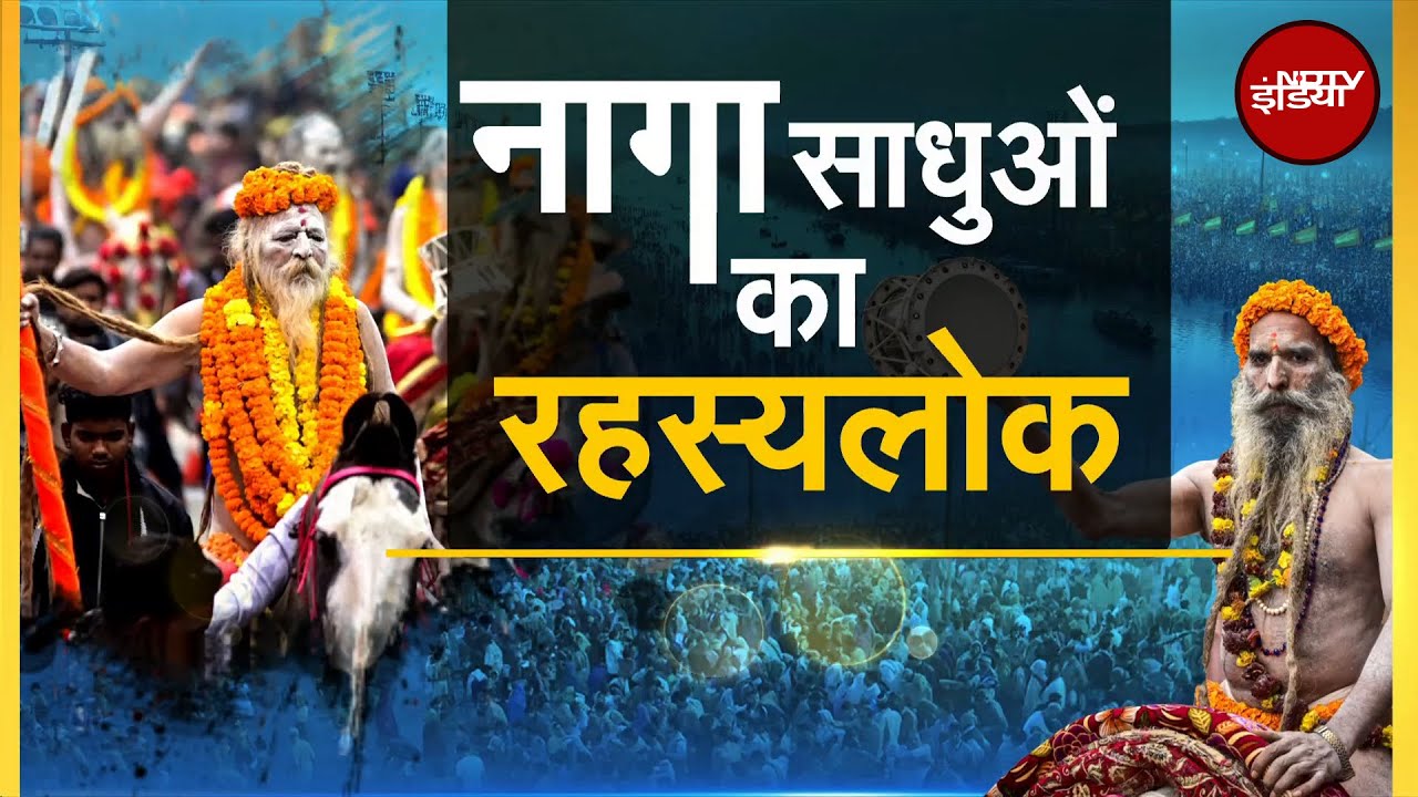 Video: Maha Kumbh 2025: रहस्यमयी Sadhu कौन हैं, और लाखों लोग इन्हें देखने क्यों उमड़ती हैं? | NDTV India