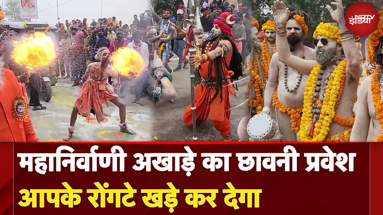Video: Maha Kumbh 2025: महानिर्वाणी अखाड़े ने भव्य शोभायात्रा निकाल किया छावनी प्रवेश | NDTV India