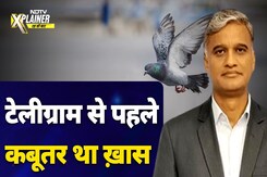 कई ऐतिहासिक सभ्यताओं में कबूतर की बड़ी जगह रही | NDTV Xplainer | Pigeon कई ऐतिहासिक सभ्यताओं में कबूतर की बड़ी जगह रही | NDTV Xplainer | Pigeon