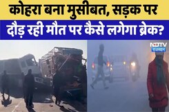 Weather Today in Rajasthan: Fog बना मुसीबत, सड़क पर दौड़ रही मौत पर कैसे लगेगा ब्रेक? Weather Today in Rajasthan: Fog बना मुसीबत, सड़क पर दौड़ रही मौत पर कैसे लगेगा ब्रेक?