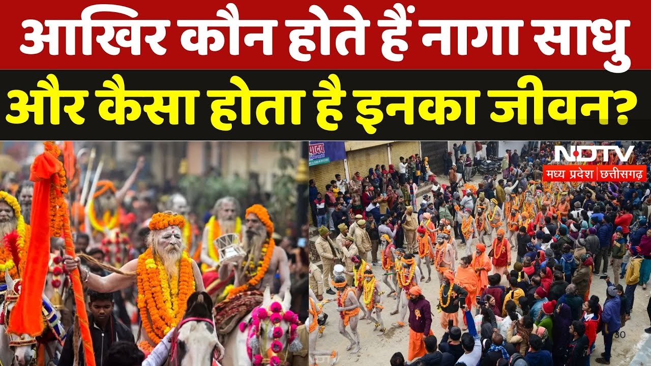 Mahakumbh 2025: आखिर कौन होते हैं 'Naga Sadhu' और कैसा होता है इनका जीवन? | Prayagraj | NDTV MPCG