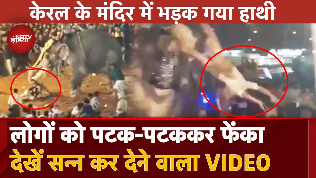 Kerala Elephant Attack: उत्सव के दौरान भड़क गया हाथी, लोगों को पटक-पटककर फेंका | Video Viral