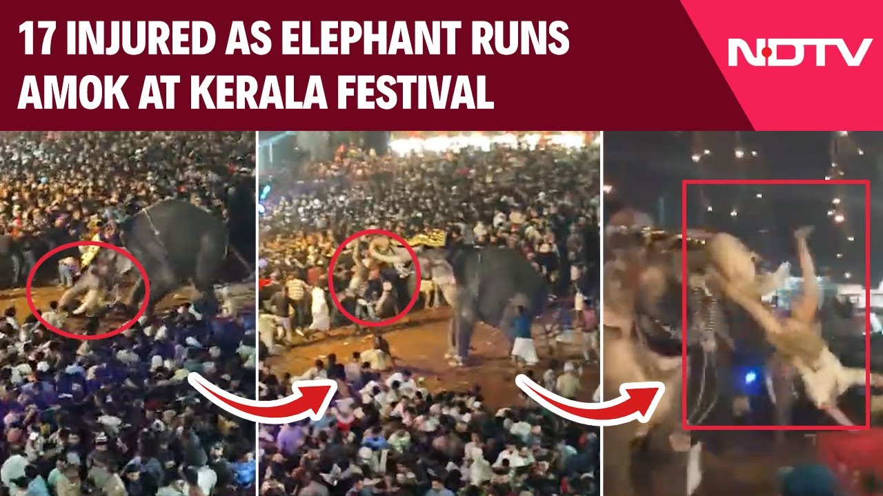 Elephant Gets Agitated At Kerala Festival, 17 Injured