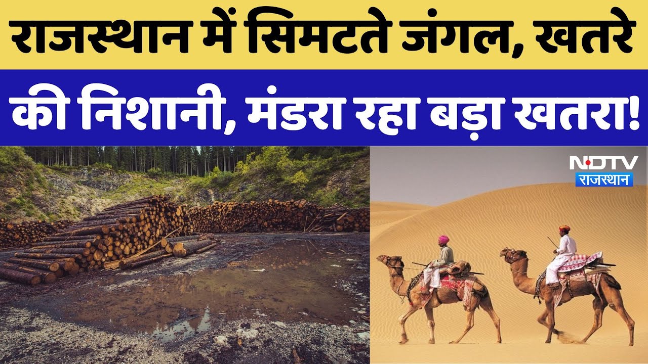 Deforestation In: Rajasthan में सिमटते जंगल, खतरे की निशानी, वन्य जीवों के अस्तित्व पर भी खतरा |News