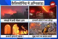 California Fire: Los Angeles के जंगलों में लगी भीषण आग, तस्वीरें देख खड़े हो जाएंगे रोंगटे | America California Fire: Los Angeles के जंगलों में लगी भीषण आग, तस्वीरें देख खड़े हो जाएंगे रोंगटे | America