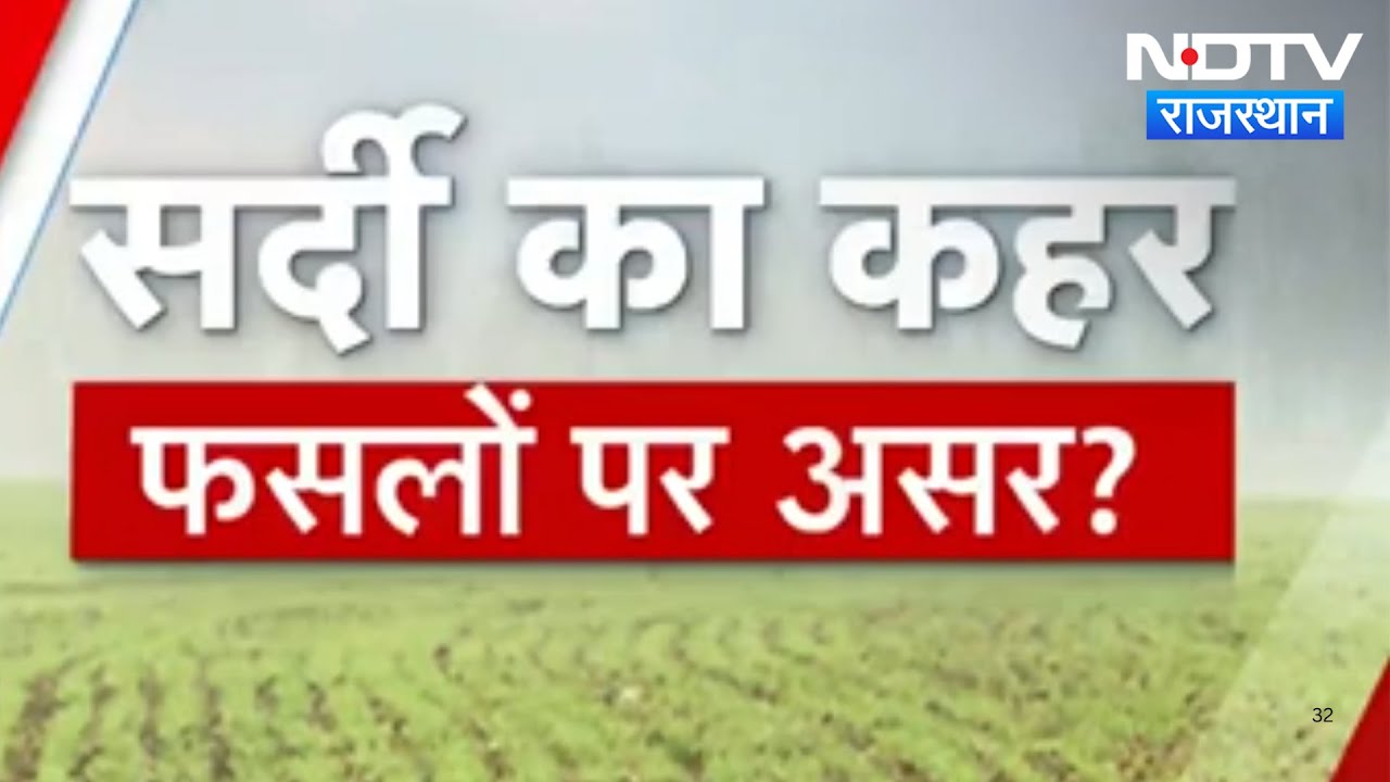 Rajasthan में सर्दी का कहर, फसलों पर मंडराया संकट | Latest News | Crop Damage