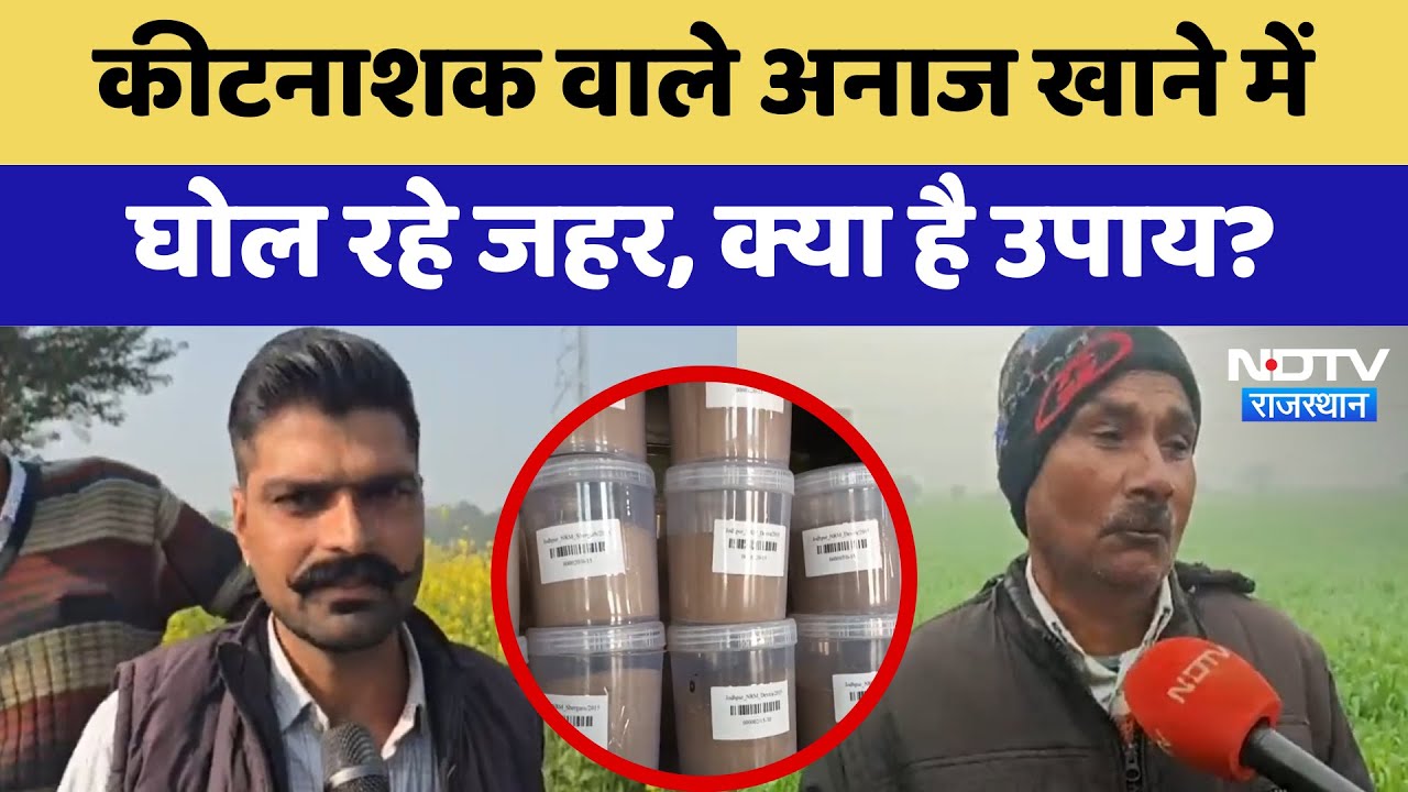 Rajasthan: Pesticides वाले अनाज खाने में घोल रहे जहर, क्या है उपाय? | Latest News