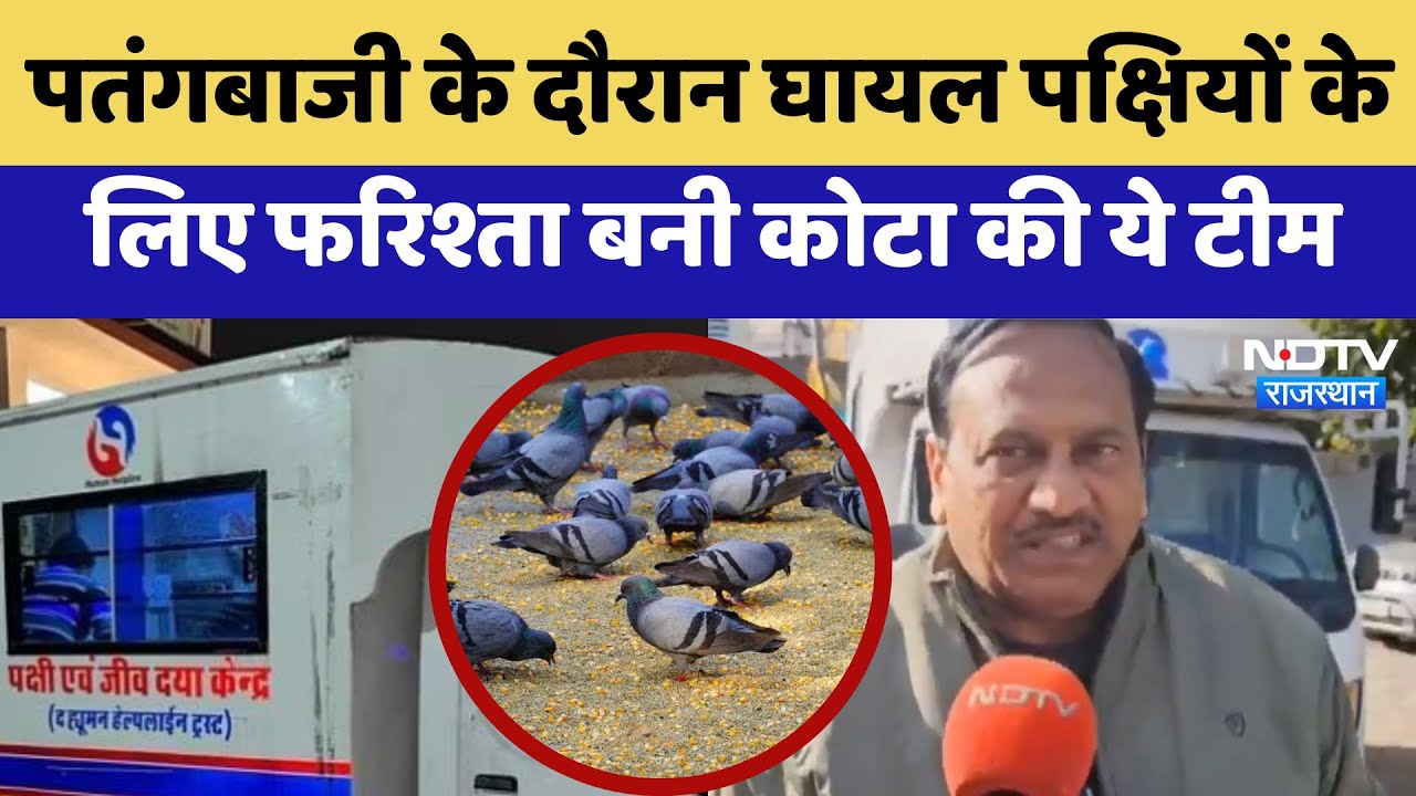 Kota News: पतंगबाजी के दौरान घायल Birds के लिए फरिश्ता बनी कोटा की ये Team | Latest News