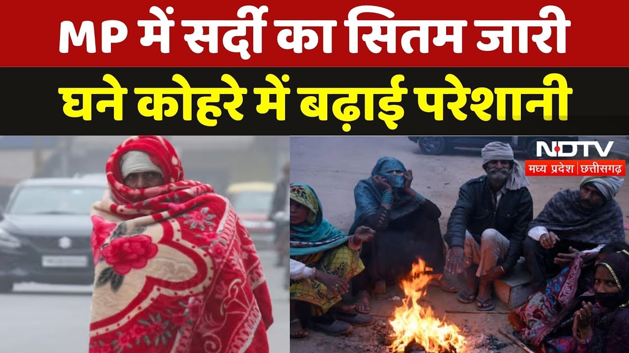 Weather Update: कोहरे के आगोश में Madhya Pradesh, गाड़ियों की रफ्तार पड़ी धीमी | Fogg | Cold | MPCG