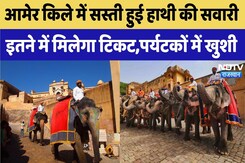 Elephant Ride in Amer Fort Price: Amer Fort में सस्ती हुई Elephant Ride , 1000 रुपये तक घट गए दाम Elephant Ride in Amer Fort Price: Amer Fort में सस्ती हुई Elephant Ride , 1000 रुपये तक घट गए दाम