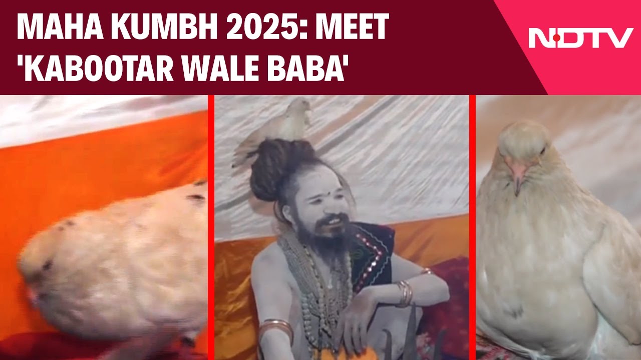 Maha Kumbh: Meet The Seer Who Has Been Carrying A Pigeon On His Head For 9 Years