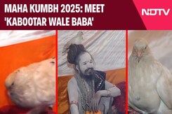 Maha Kumbh: Meet The Seer Who Has Been Carrying A Pigeon On His Head For 9 Years Maha Kumbh: Meet The Seer Who Has Been Carrying A Pigeon On His Head For 9 Years