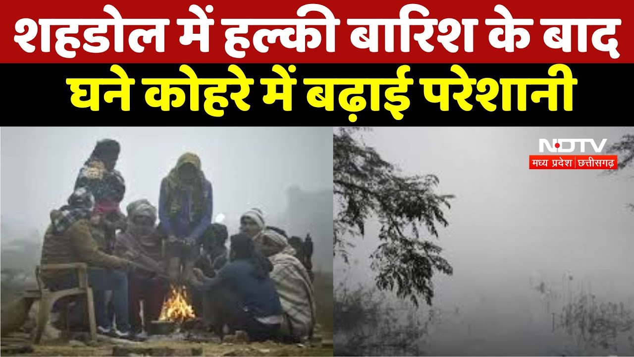 Weather Update : Shahdol में हल्की बारिश के बाद घना घने कोहरे में बढ़ाई परेशानी