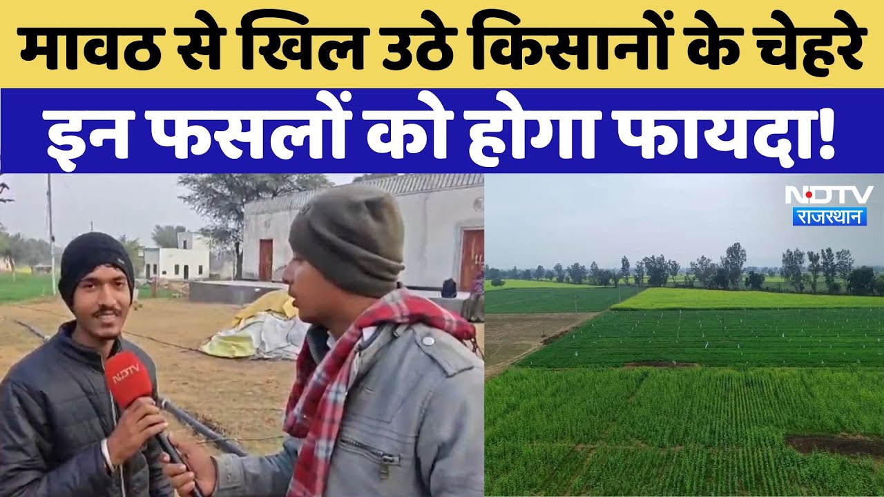 मावठ से खिल उठे Farmers के Churu के चेहरे इन फसलों को होगा फायदा! मावठ से खिल उठे Farmers के Churu के चेहरे इन फसलों को होगा फायदा!
